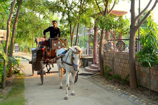 Kangs Nirvana Resorts And Spa Mahalpur 외부 사진